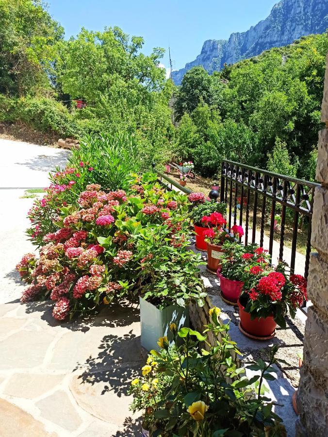 Foris House Hotel Vikos Buitenkant foto