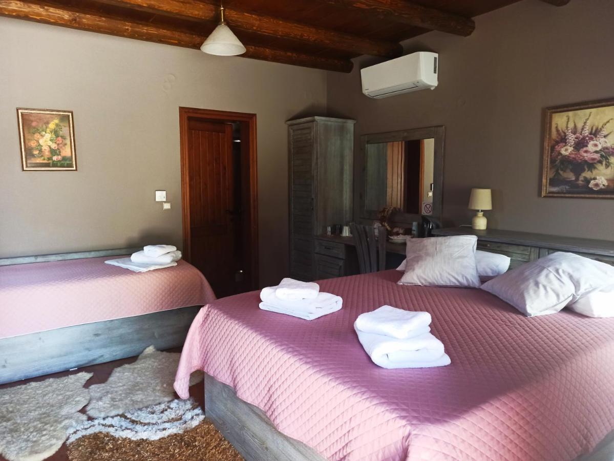 Foris House Hotel Vikos Buitenkant foto